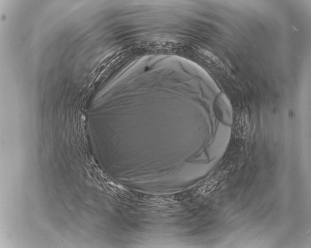 X0000057061013200510071401