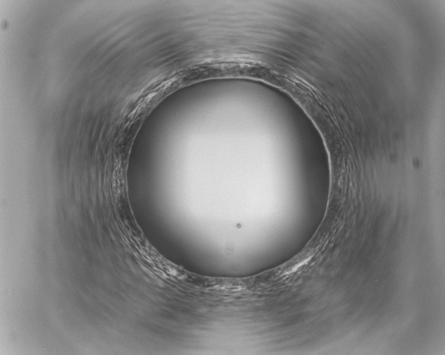 X0000057061014200510071401