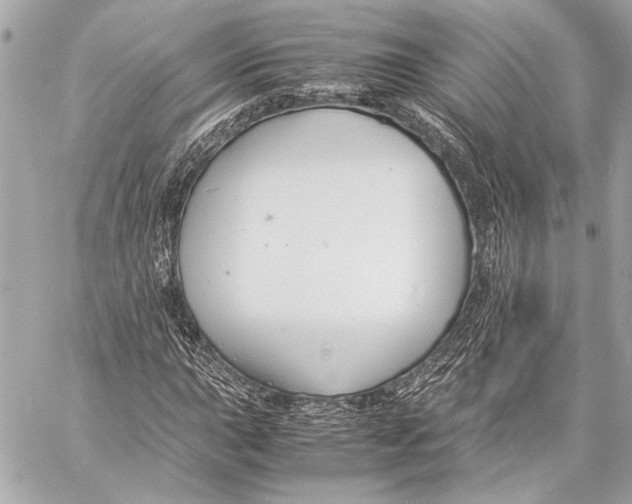 X0000057061015200510071401