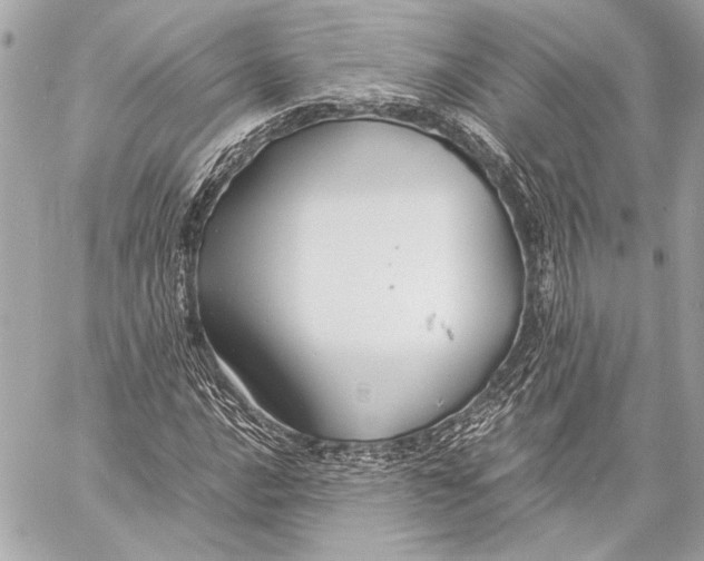 X0000057061016200510071401