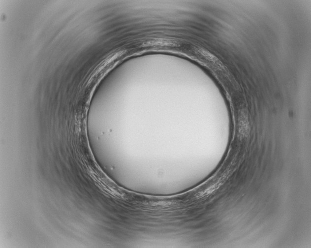 X0000057061017200510071401