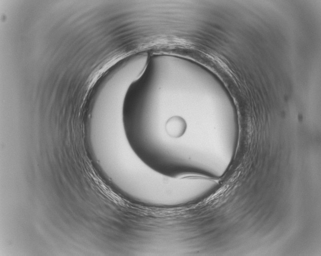 X0000057061018200510071401