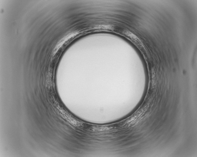 X0000057061019200510071401