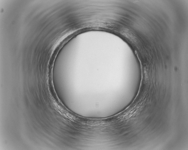 X0000057061020200510071401