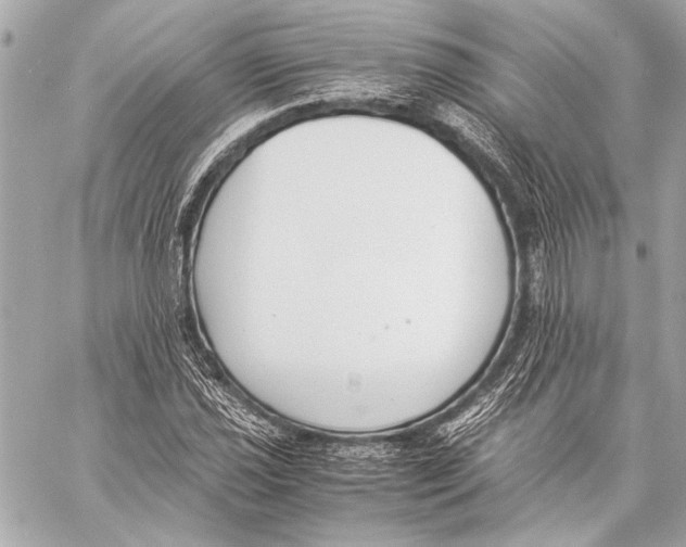 X0000057061021200510071401