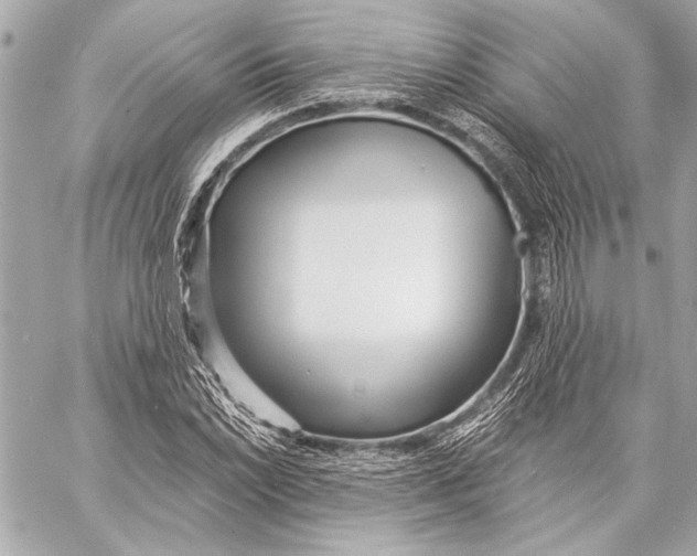 X0000057061022200510071401