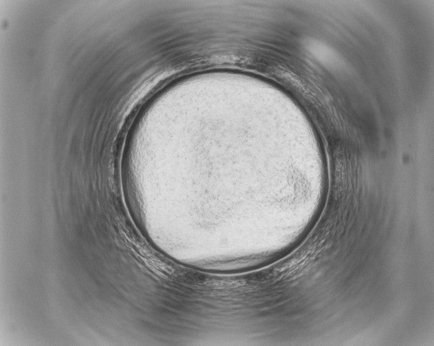 X0000057061023200510071401