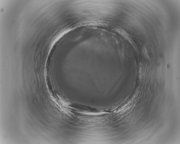 X0000057061024200510071401