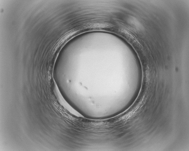 X0000057061025200510071401