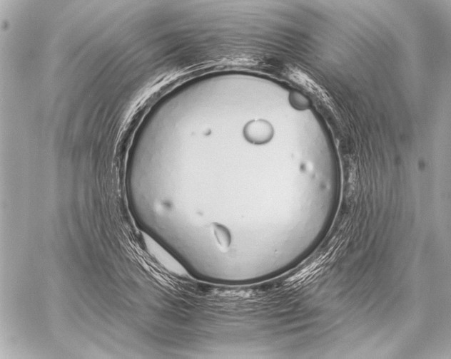 X0000057061027200510071401