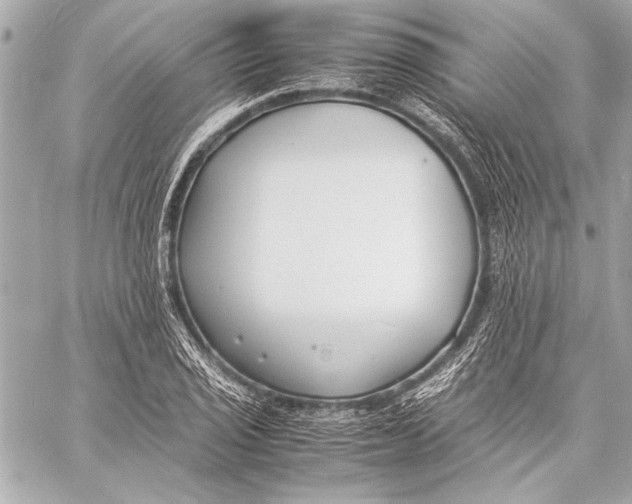 X0000057061029200510071401