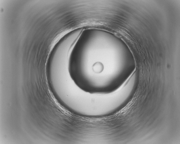 X0000057061030200510071401