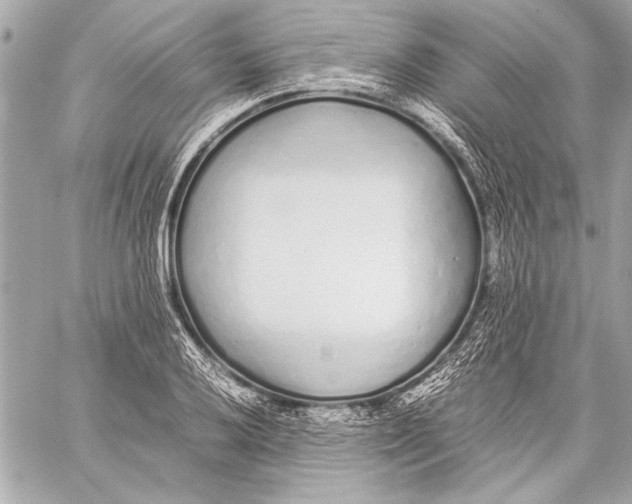 X0000057061032200510071401