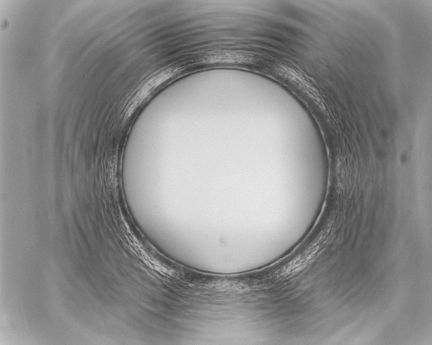 X0000057061033200510071401