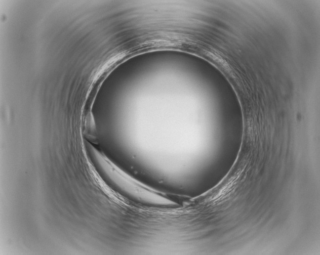 X0000057061034200510071401