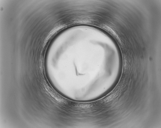 X0000057061035200510071401