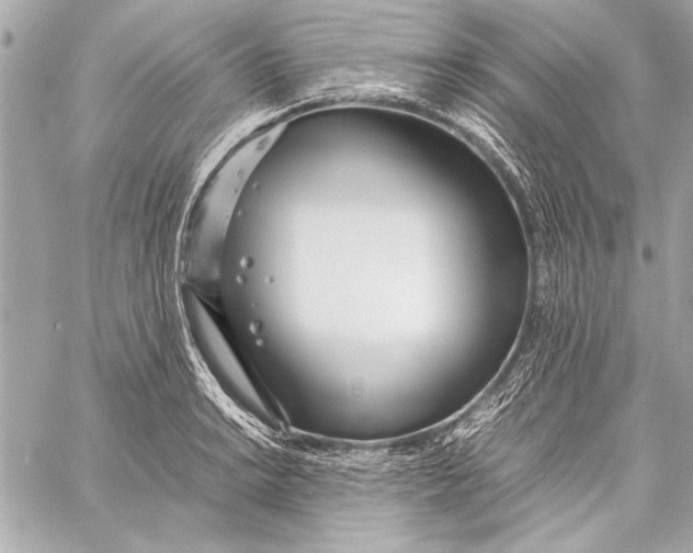 X0000057061038200510071401