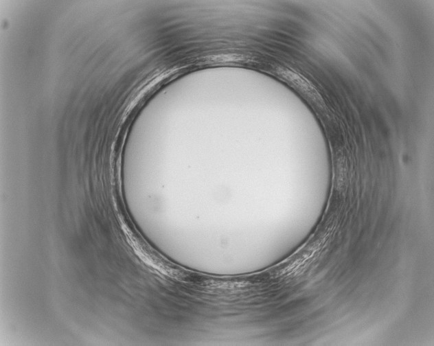 X0000057061039200510071401