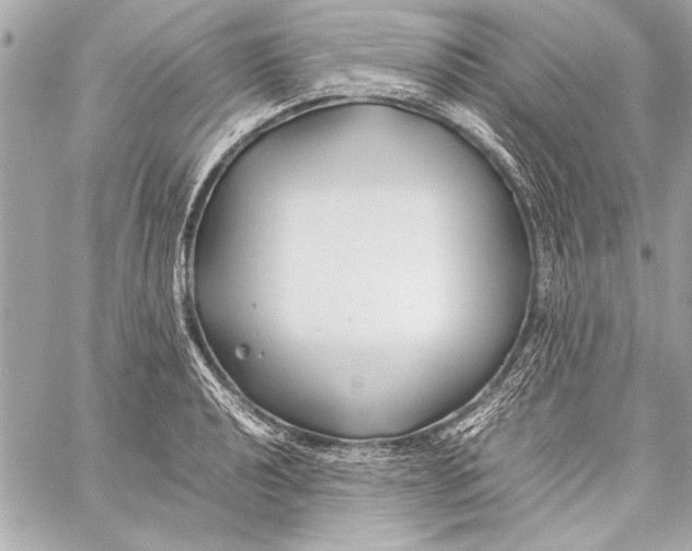 X0000057061040200510071401