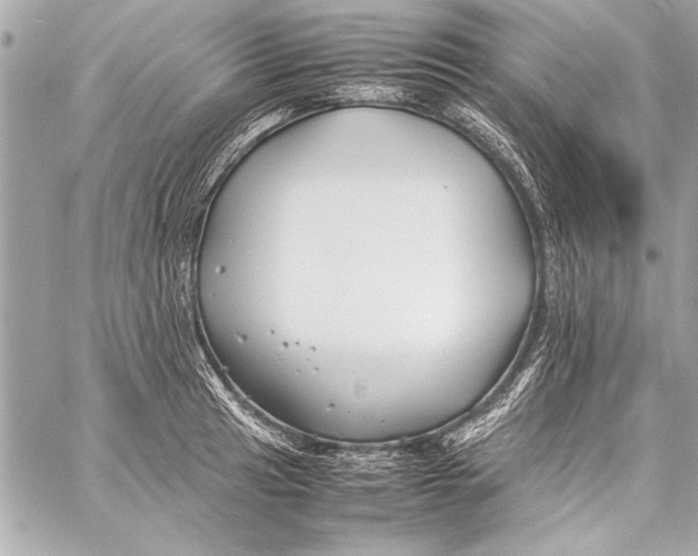 X0000057061041200510071401