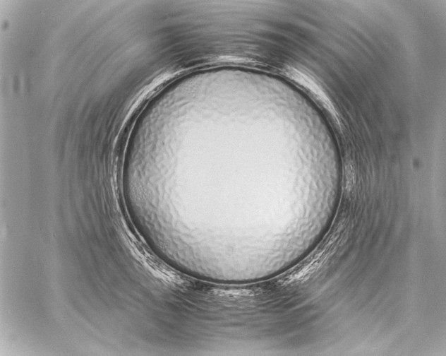 X0000057061043200510071401