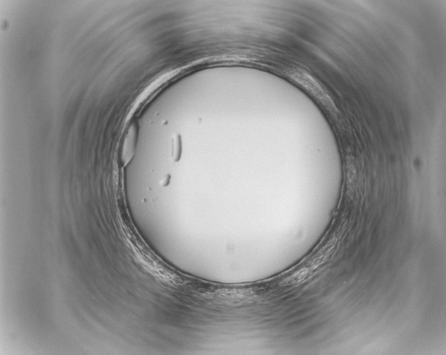 X0000057061044200510071401