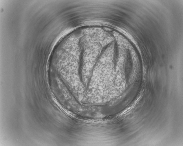 X0000057061045200510071401