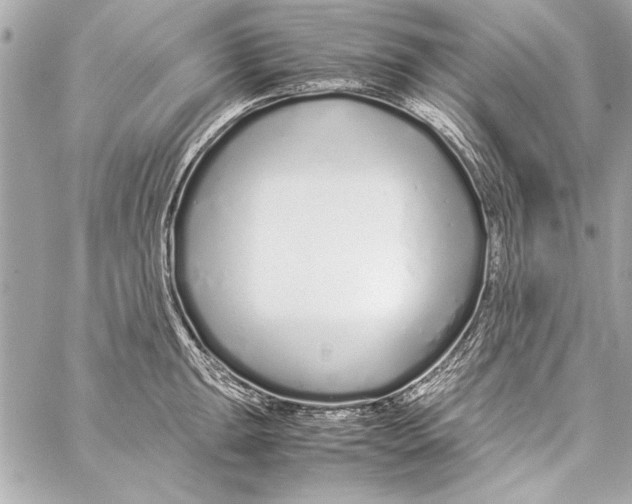 X0000057061047200510071401