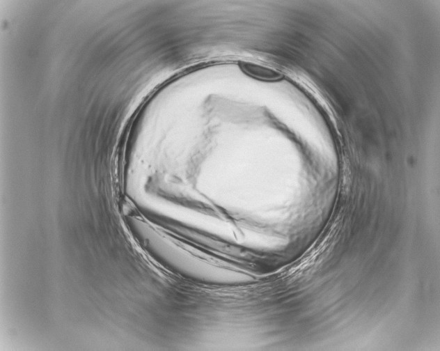 X0000057061048200510071401