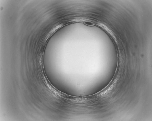 X0000057061049200510071401