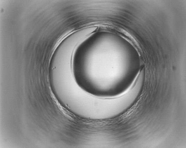 X0000057061050200510071401