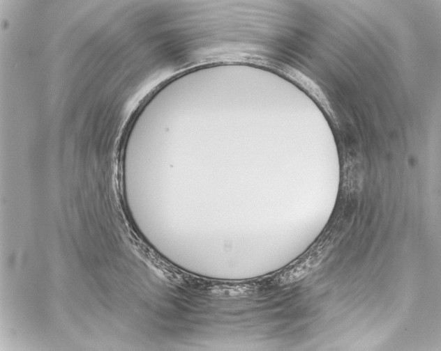 X0000057061051200510071401