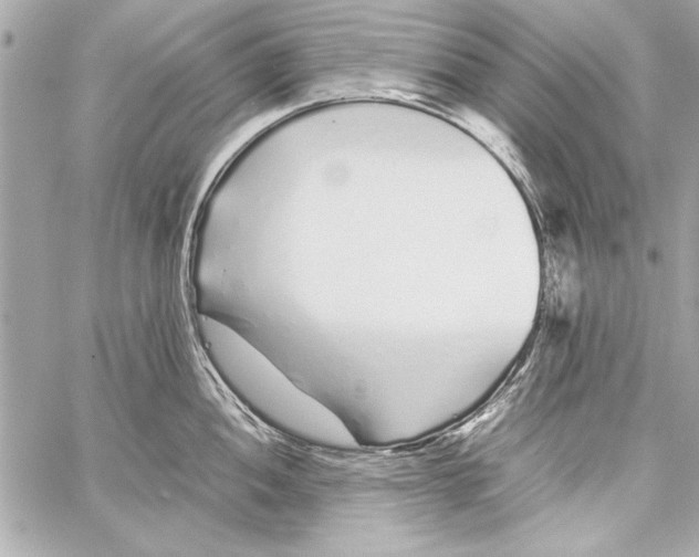 X0000057061052200510071401