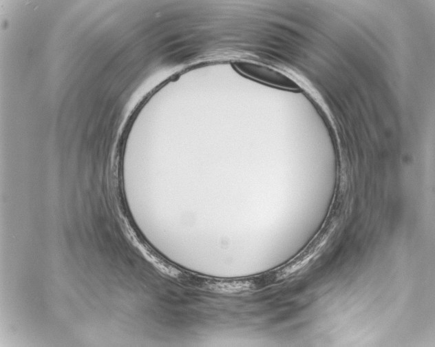 X0000057061053200510071401