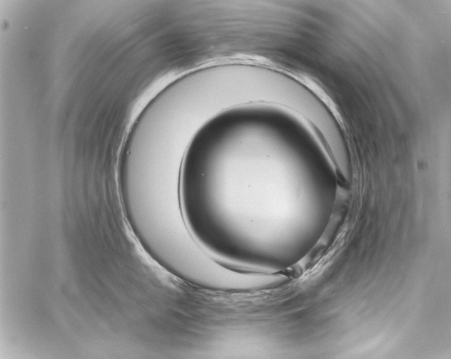 X0000057061054200510071401