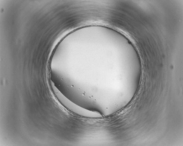 X0000057061056200510071401