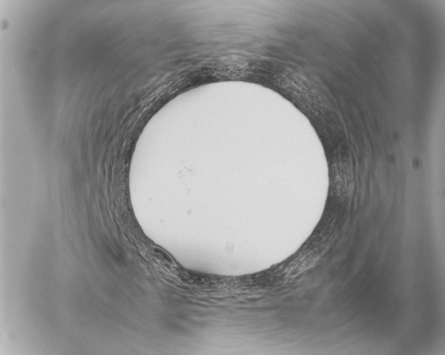 X0000057061057200510071401