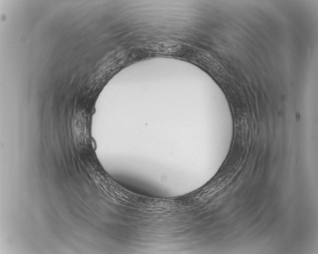 X0000057061058200510071401