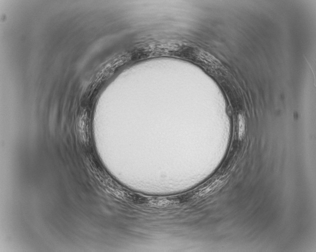 X0000057061059200510071401