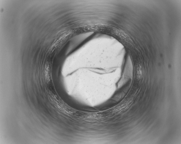 X0000057061060200510071401