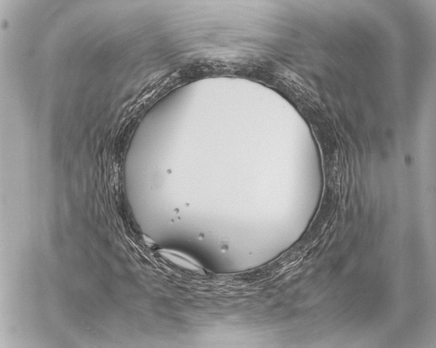 X0000057061061200510071401