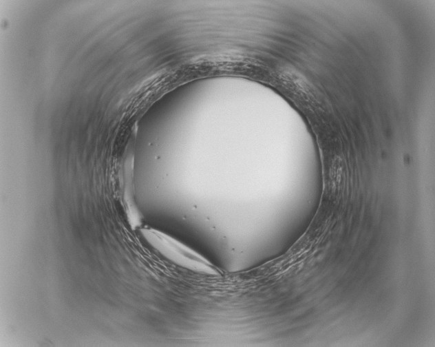 X0000057061062200510071401