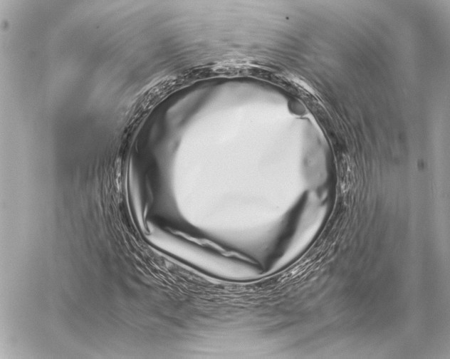 X0000057061063200510071401