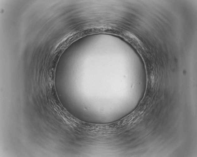 X0000057061064200510071401