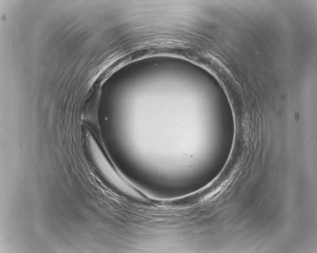 X0000057061065200510071401