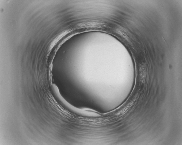 X0000057061066200510071401