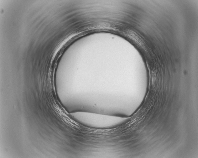 X0000057061068200510071401