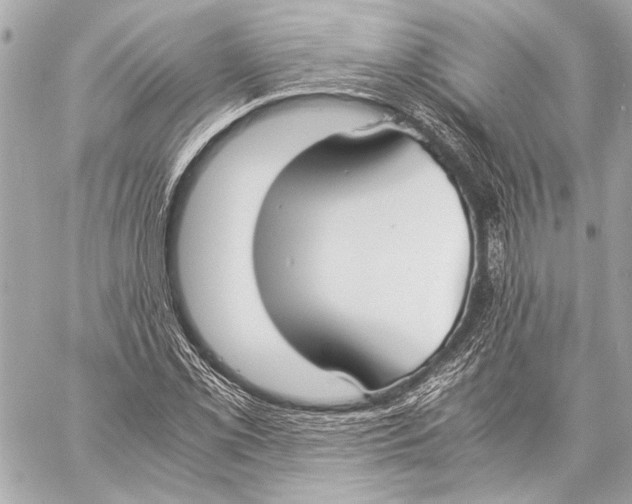 X0000057061069200510071400