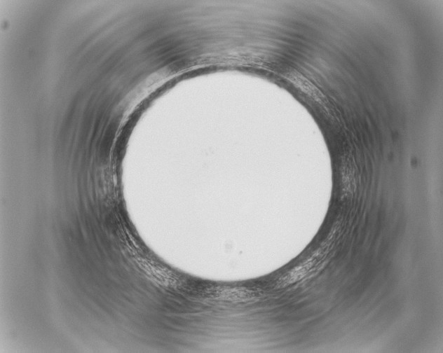 X0000057061070200510071400