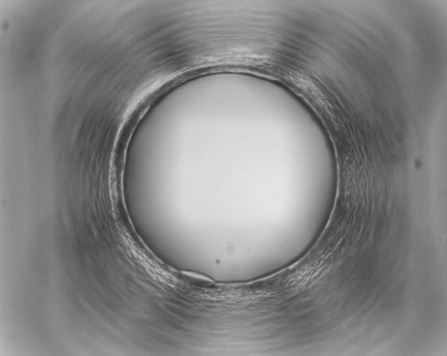 X0000057061072200510071400